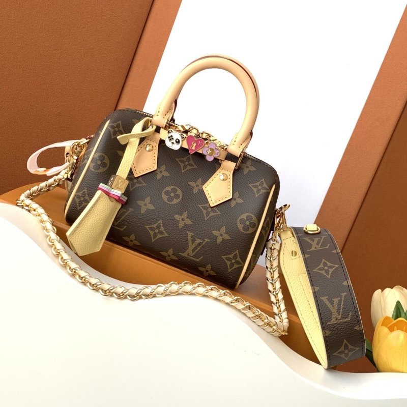 LV Speedy Bags